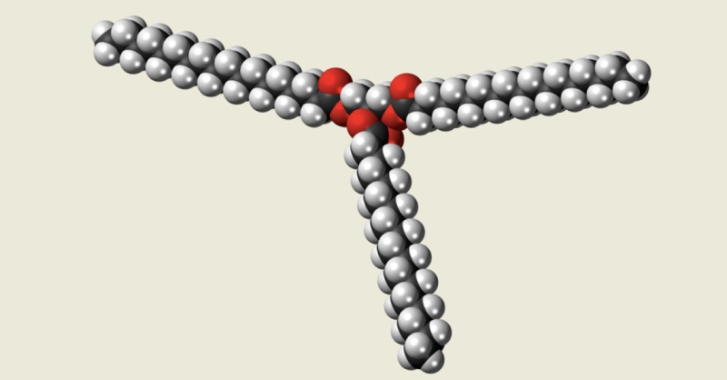 Công thức của Tristearin là gì? Các tính chất quan trọng của công thức của Tristearin