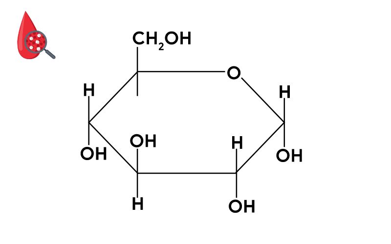 Công thức phân tử của Glucozơ là gì? Các tính chất và vai trò của glucozơ