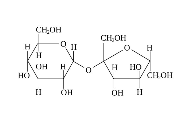 Công thức saccarozơ là gì? Tìm hiểu tính chất của saccarozo