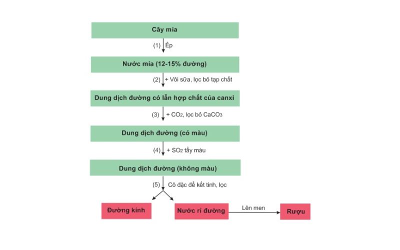 Công thức saccarozơ