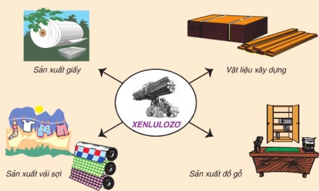 các phản ứng hóa học đặc trưng của xenlulozơ trinitrat