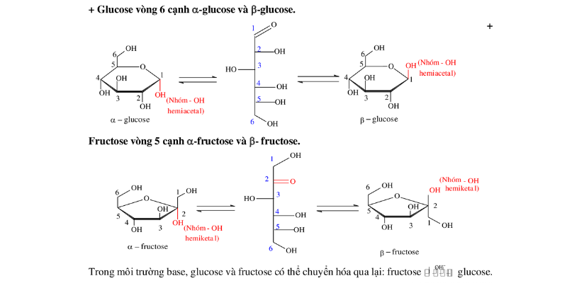 carbohydrate công thức hóa học