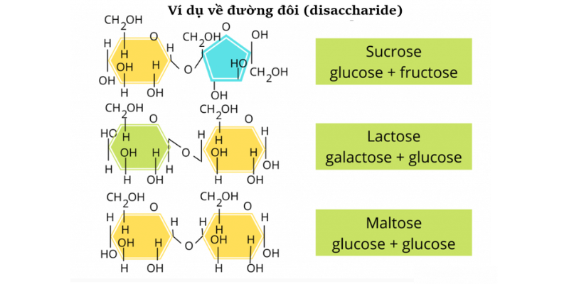 carbohydrate công thức hóa học