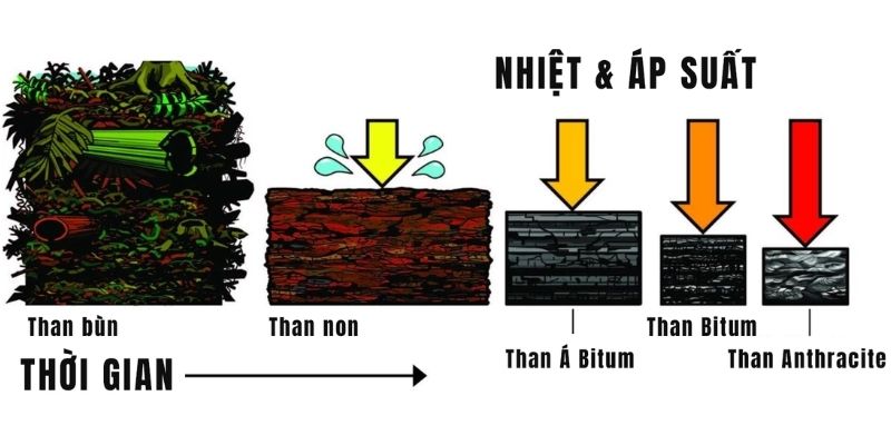 cấu tạo hóa học của than đá