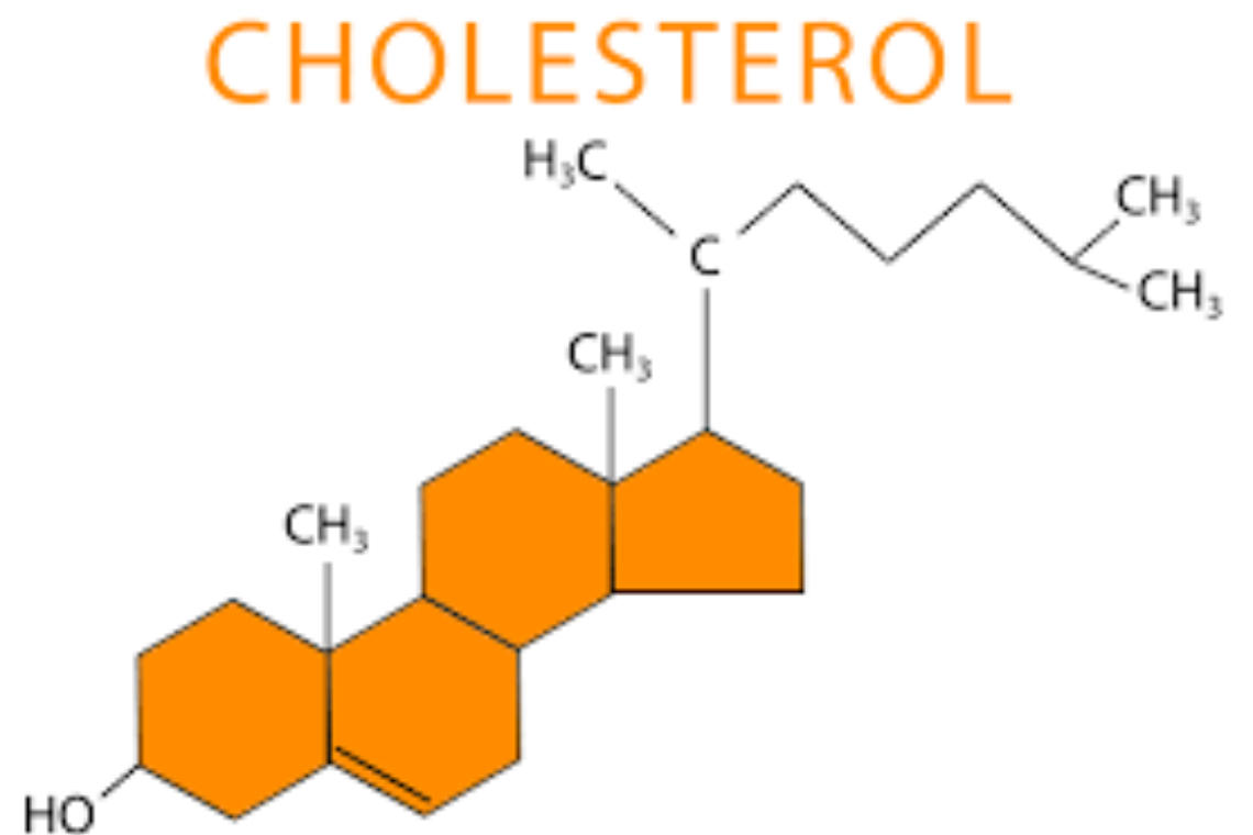  cholesterol công thức