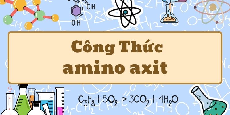 Công thức amino axit và thông tin cơ bản về cấu tạo phân tử