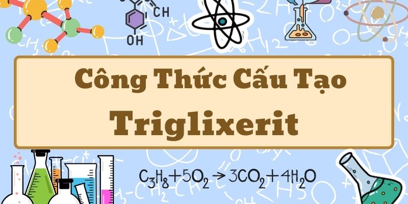 Thông tin về triglixerit công thức và ứng dụng trong hóa học cơ bản