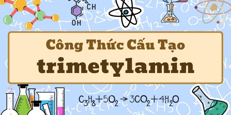 Kiến thức về công thức của trimetylamin và ứng dụng trong hóa học