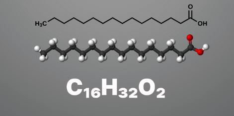 công thức của axit panmitic trong hóa học hữu cơ