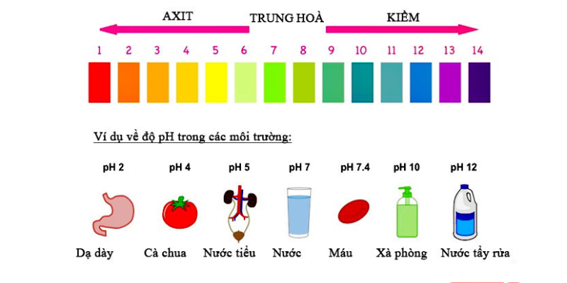 công thức hóa học của bazơ