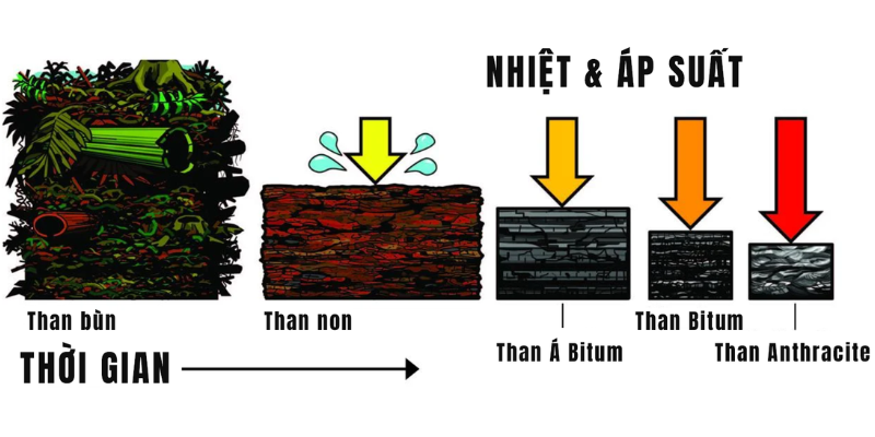 công thức hóa học của than đá