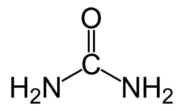 Tìm hiểu công thức phân ure và ứng dụng trong nông nghiệp