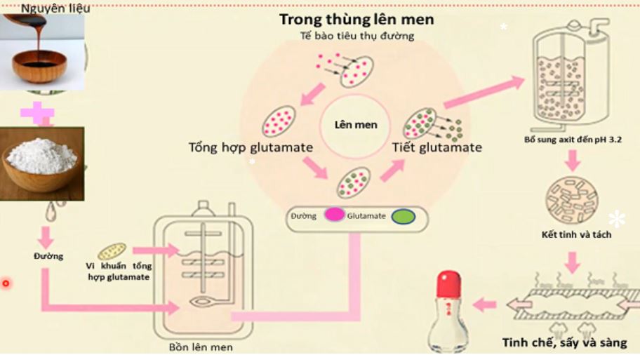 quy trình sản xuất bột ngọt công nghiệp