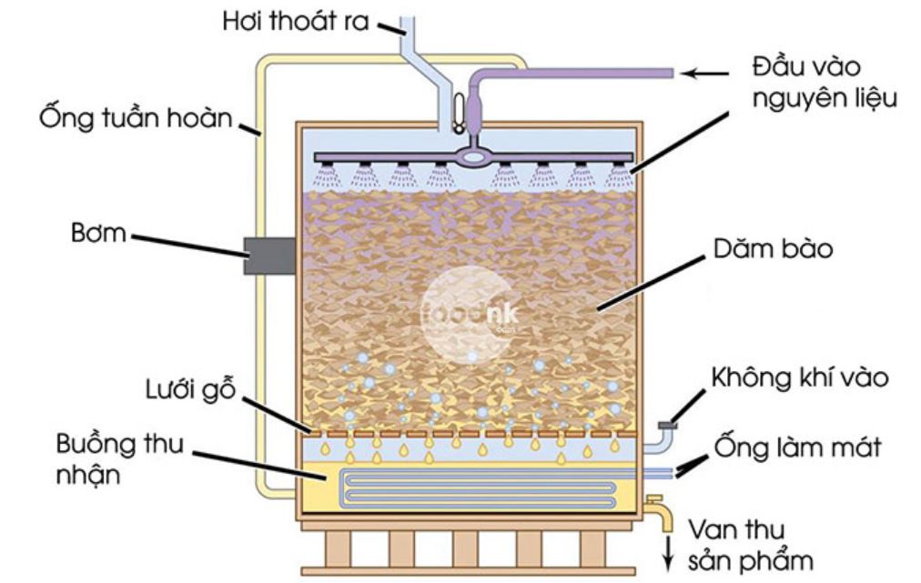 quy trình sản xuất và cách làm giấm ăn an toàn tại nhà