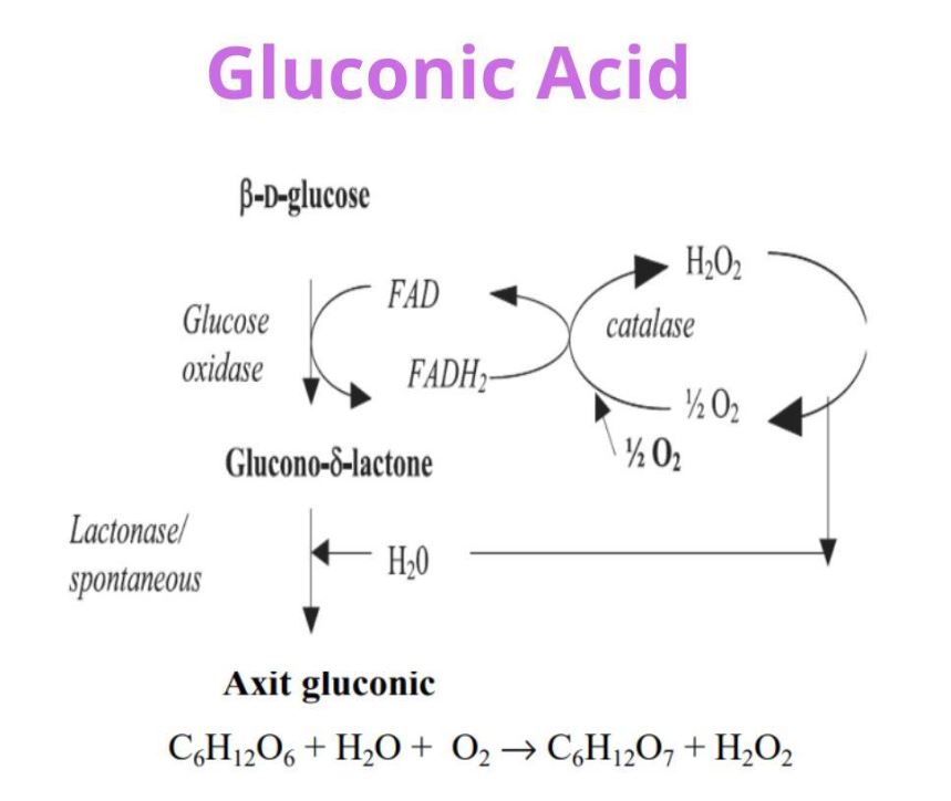 tính chất hóa học của axit gluconic