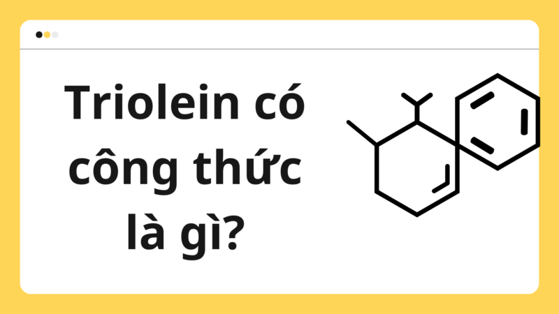 Tìm hiểu Công thức Triolein – Hiểu sâu về các cạng Lipit trong Hóa học