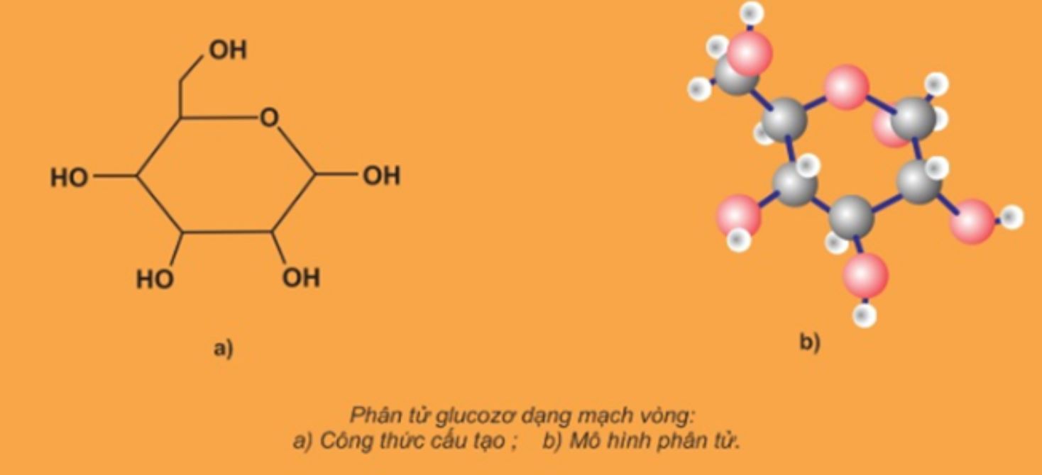 tính chất và đặc điểm của đường glucoza