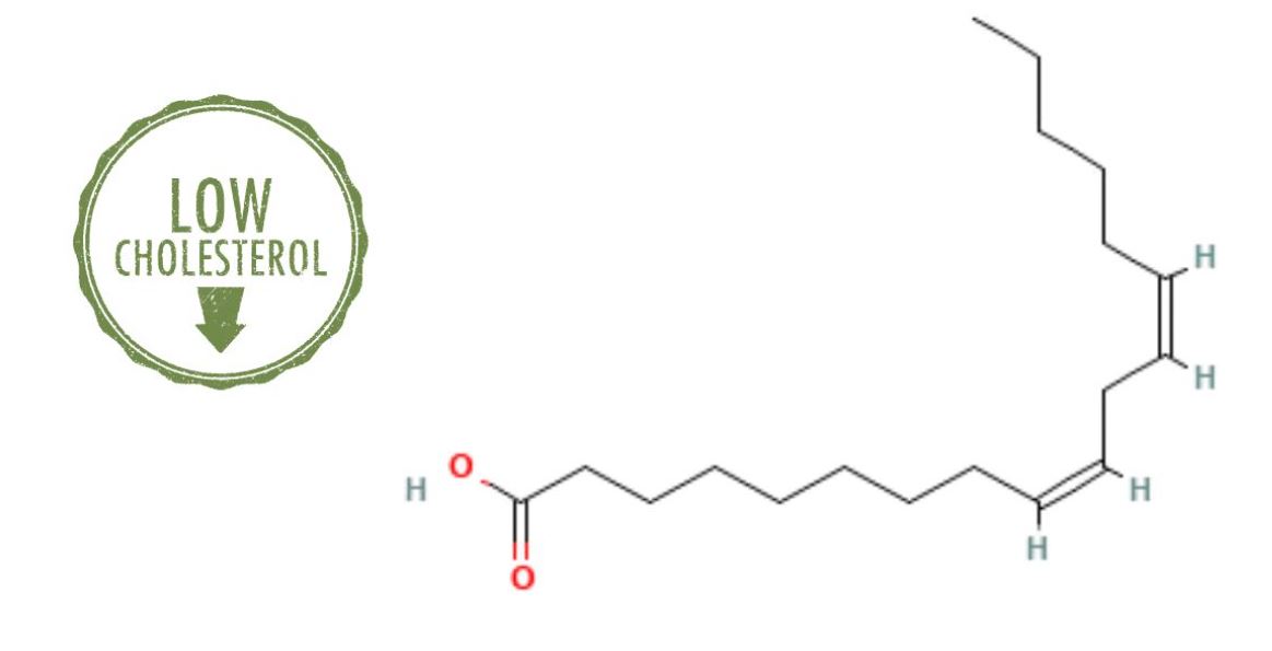 tổng quan về axit linoleic và vai trò sinh học