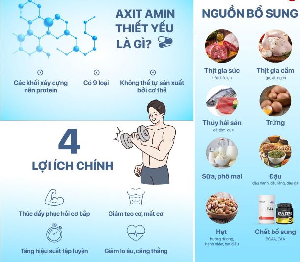 ứng dụng của các hợp chất amin trong thực tế